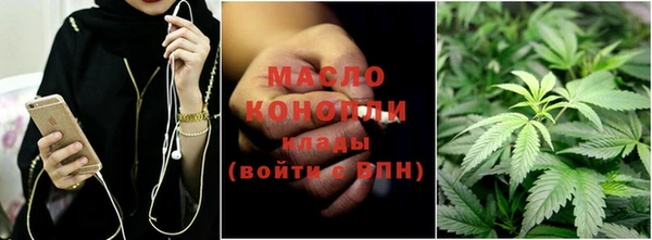 тгк Абаза