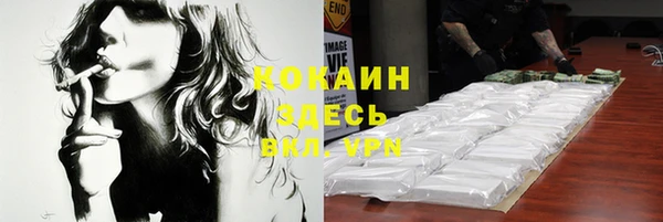 молекула духа Новодвинск