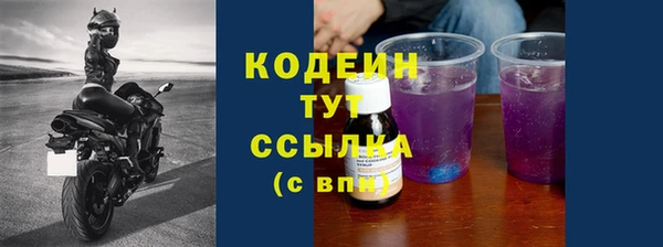 тгк Абаза