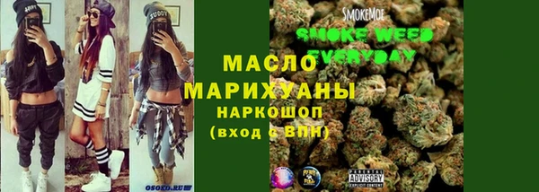 тгк Абаза