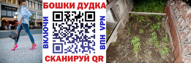 Бошки марихуана план  OMG как войти  Сычёвка  закладка 